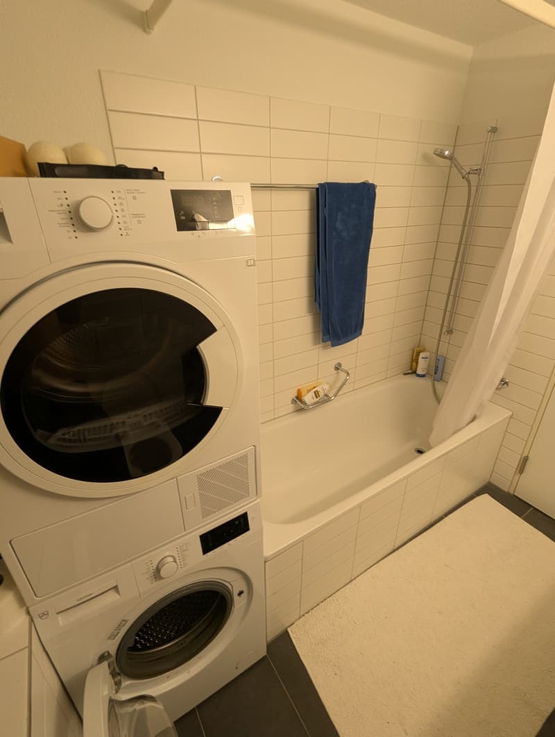 Helle 2.5-Zimmer-Wohnung an zentraler Lage in Wädenswil (3)