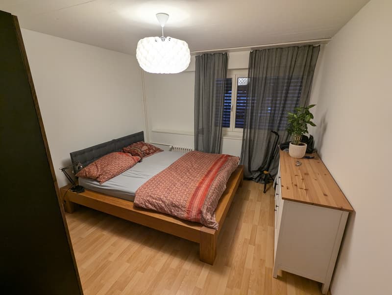 Helle 2.5-Zimmer-Wohnung an zentraler Lage in Wädenswil (7)