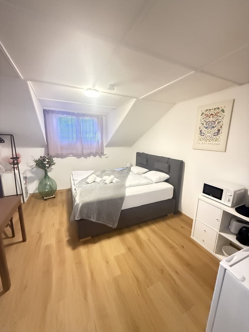 Nachmieter gesucht schönes Zimmer am Rosenbergweg in St. Gallen (1)