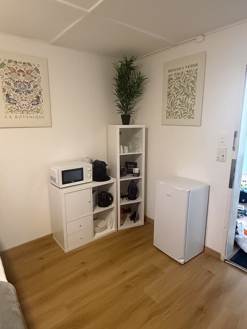 Nachmieter gesucht schönes Zimmer am Rosenbergweg in St. Gallen (3)
