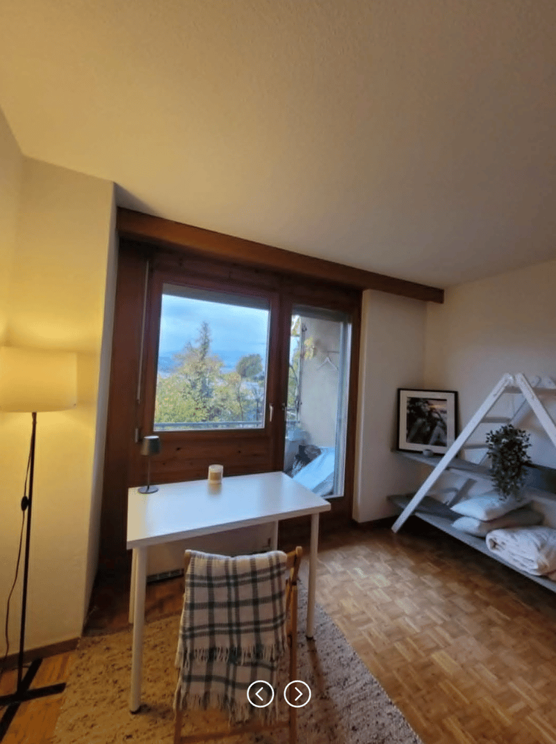 Big Room with Balcony (Lake View) in Big House (3)