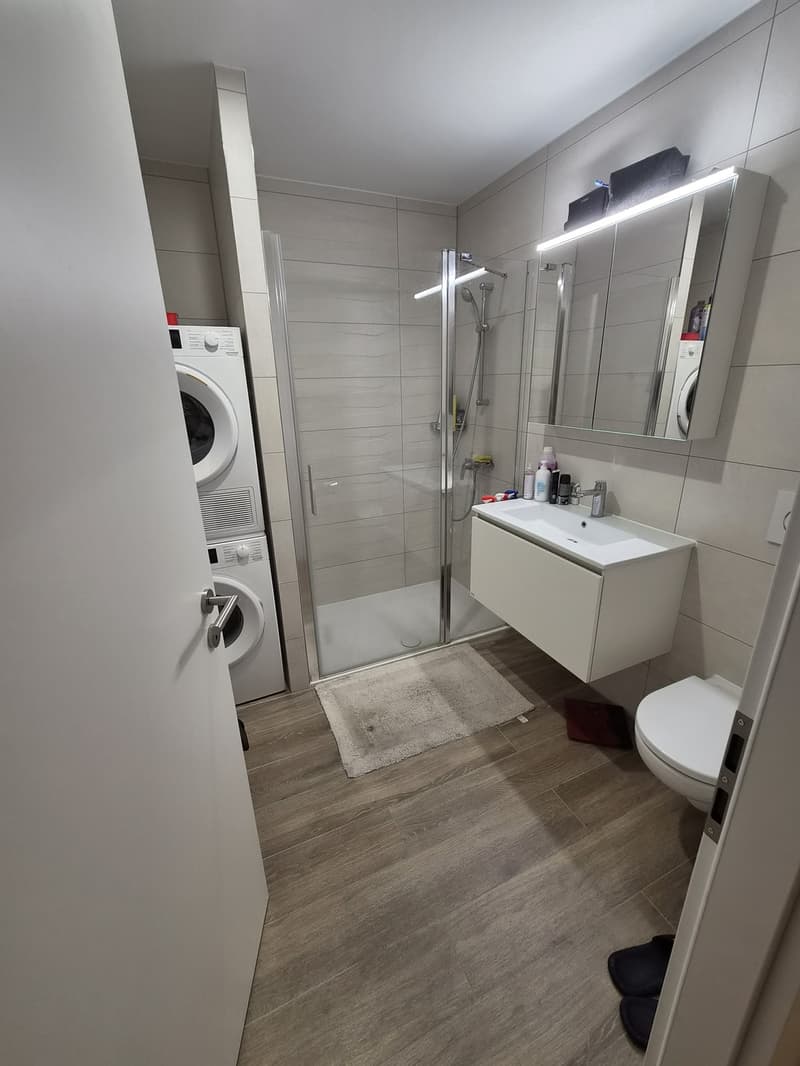 Appartement 2.5pcs (1)