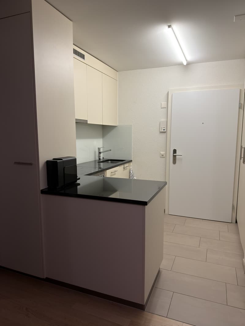 Nachmieter gesucht: Schöne, ruhige 1,5-Zimmer-Wohnung mit grosser Terrasse (4)