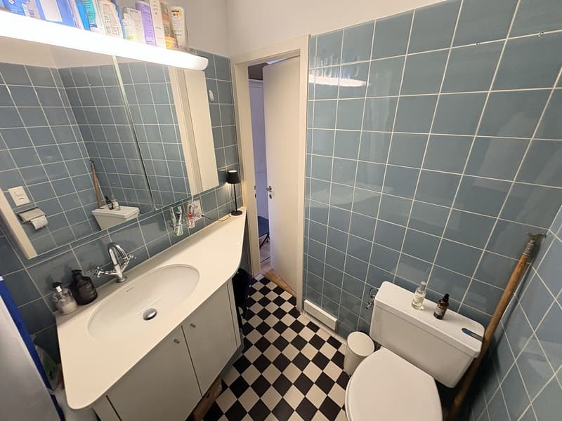 Möblierte 2.5-Zimmer-Wohnung mit Seesicht am Zürichberg, 1 Jahr Untermiete (4)