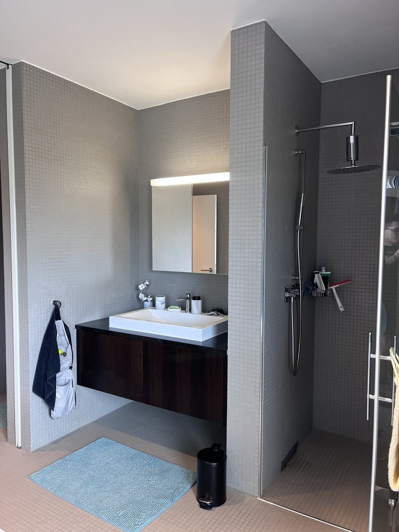 Furnished room in a 3.5 shared apartment (9)