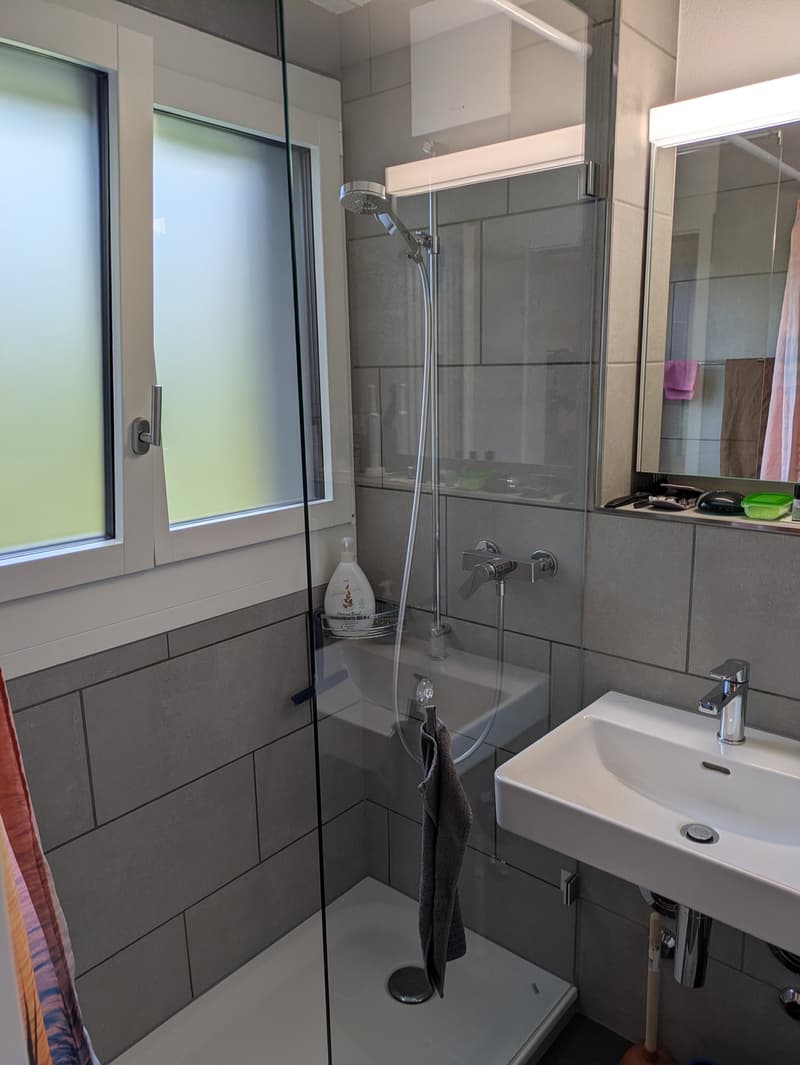 1 Zimmer-Wohnung, 8400 Winterthur (6)