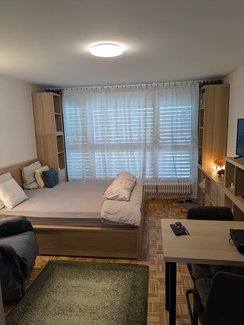 1 Zimmer-Wohnung, 8400 Winterthur (2)