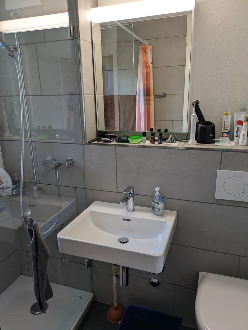1 Zimmer-Wohnung, 8400 Winterthur (5)