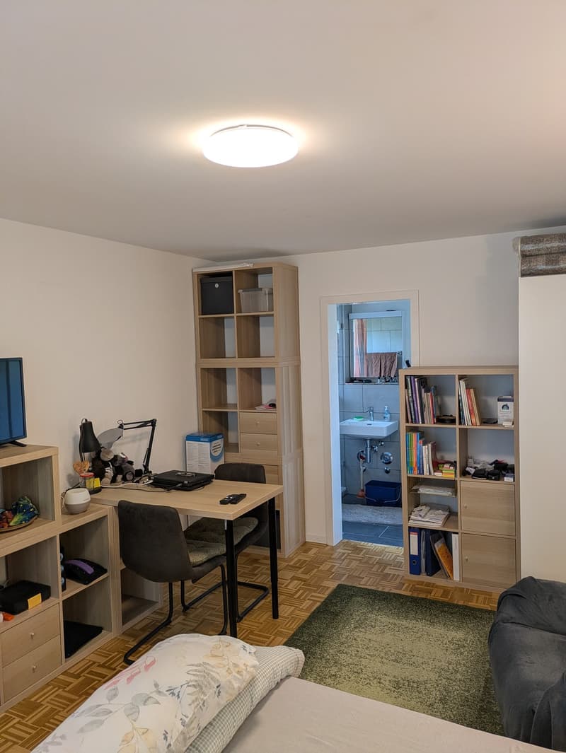 1 Zimmer-Wohnung, 8400 Winterthur (4)