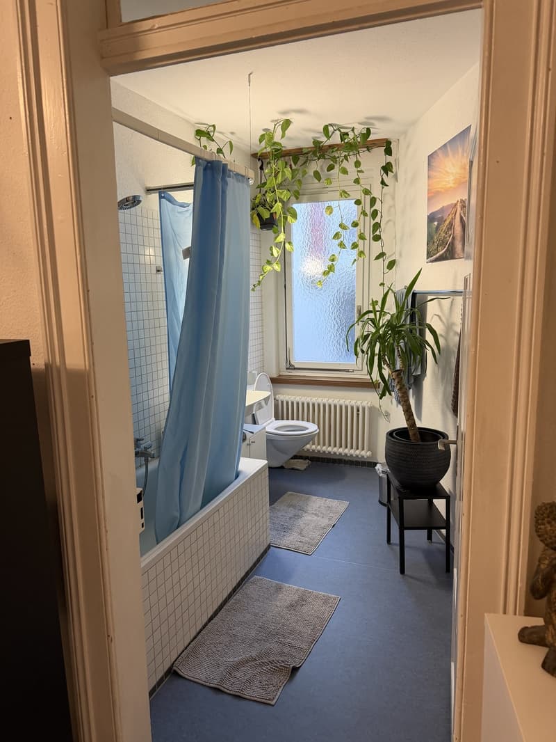 Wg Zimmer zu vermieten (4)