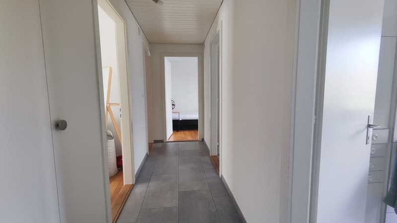 Bright & Spacious Room in Wiedikon Available from December 1st (6)