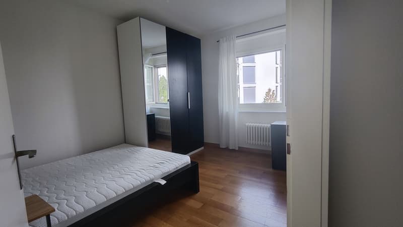 Bright & Spacious Room in Wiedikon Available from December 1st (3)