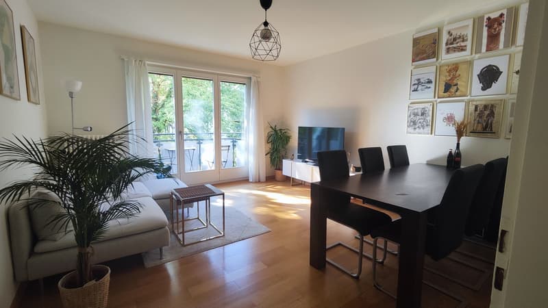 Bright & Spacious Room in Wiedikon Available from December 1st (1)