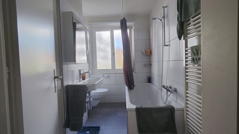 Bright & Spacious Room in Wiedikon Available from December 1st (5)
