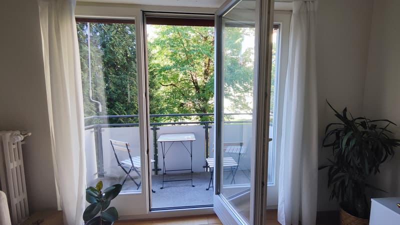 Bright & Spacious Room in Wiedikon Available from December 1st (2)