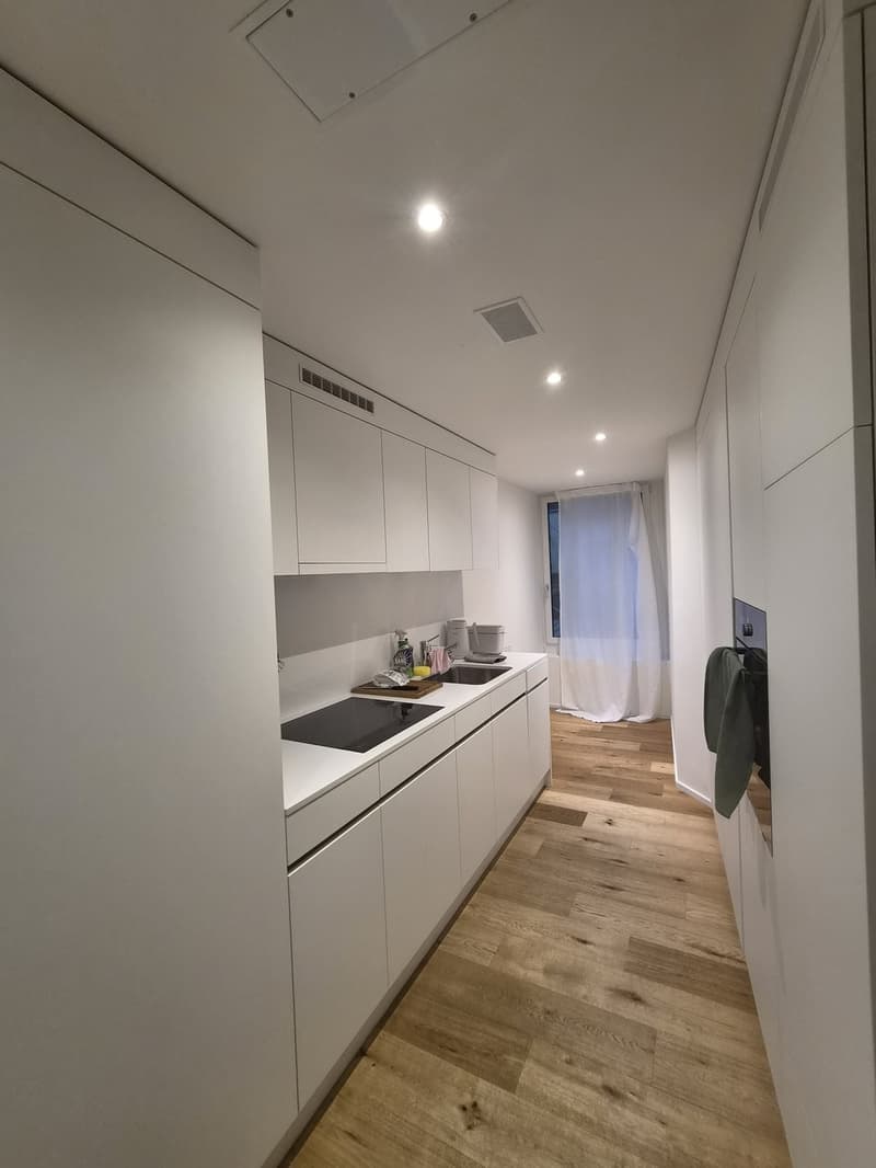 Modern 2.5-Room Apartment in Zürich 8006 (4)
