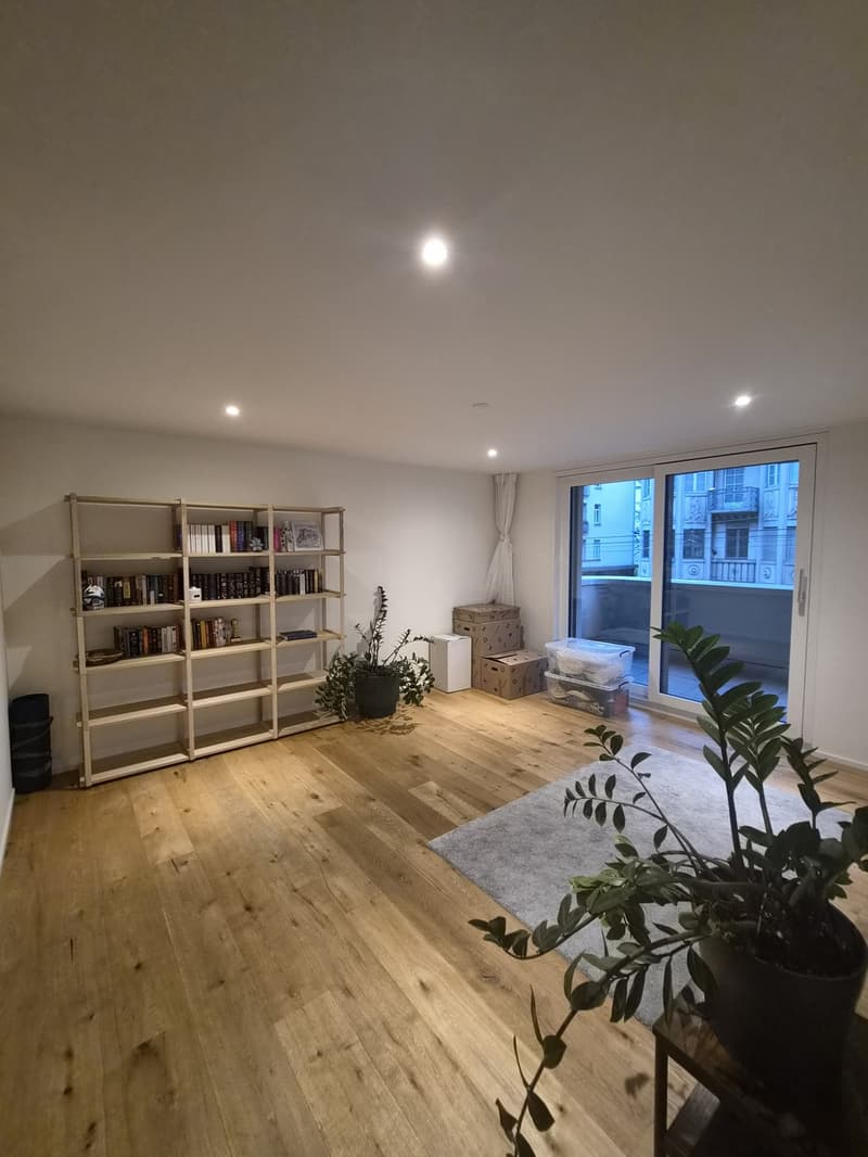 Modern 2.5-Room Apartment in Zürich 8006 (1)