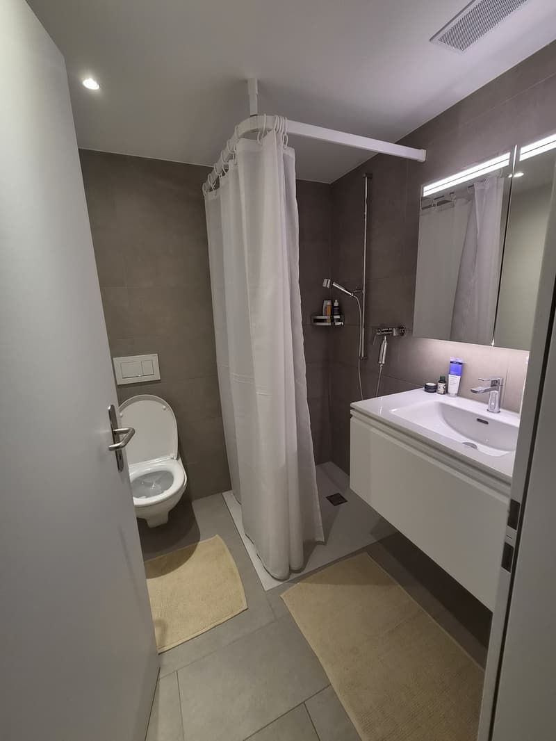 Modern 2.5-Room Apartment in Zürich 8006 (3)