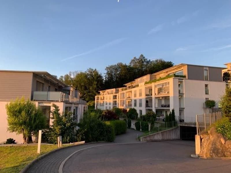 Spacious 2.5-room garden apartment in Richterswil (4)