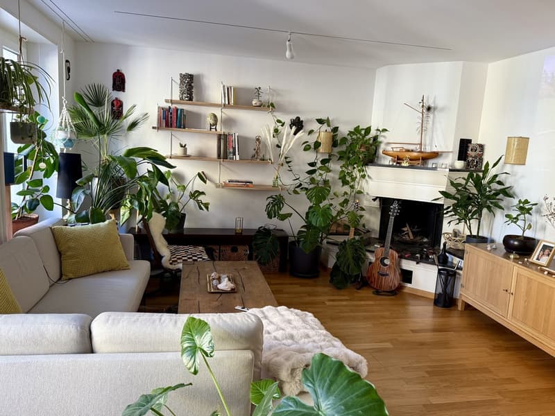From 01.12.2026! Furnished Room 9 Min Zürich HB (1)