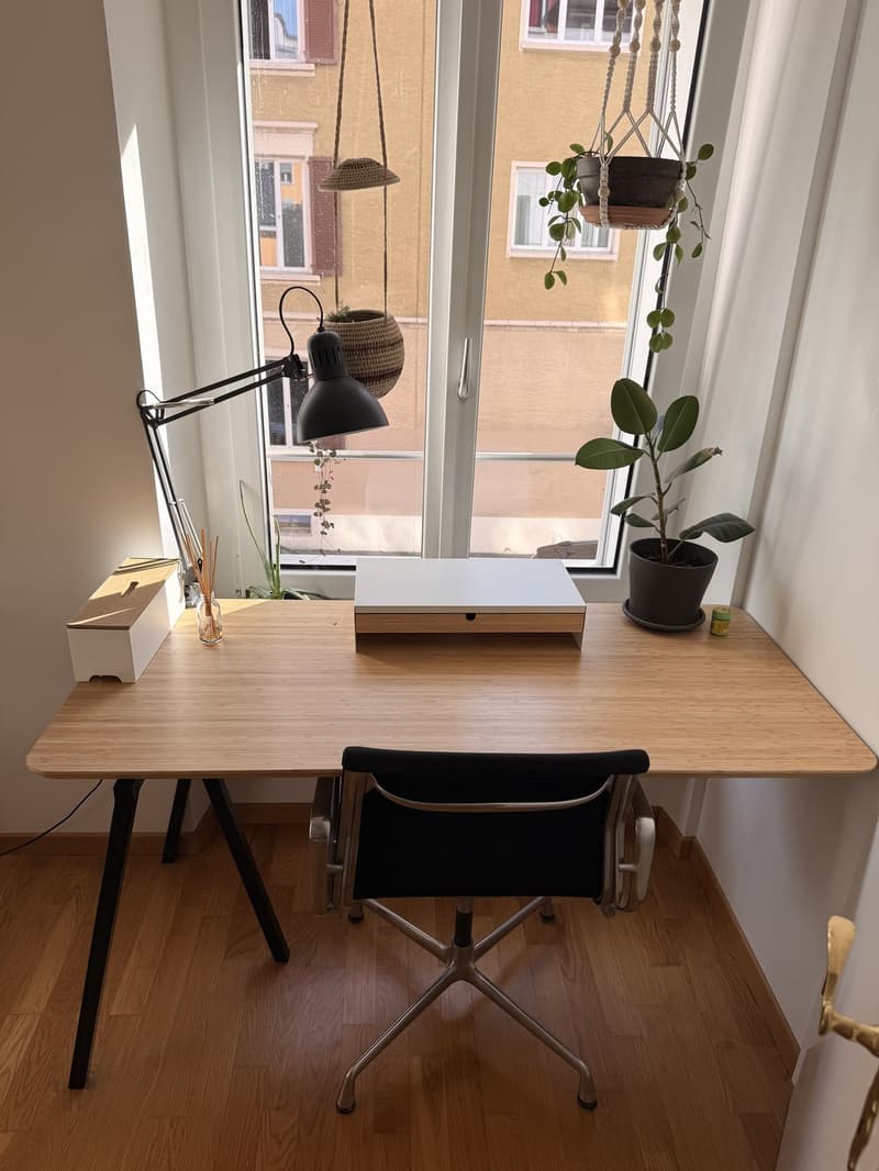 From 01.12.2026! Furnished Room 9 Min Zürich HB (5)