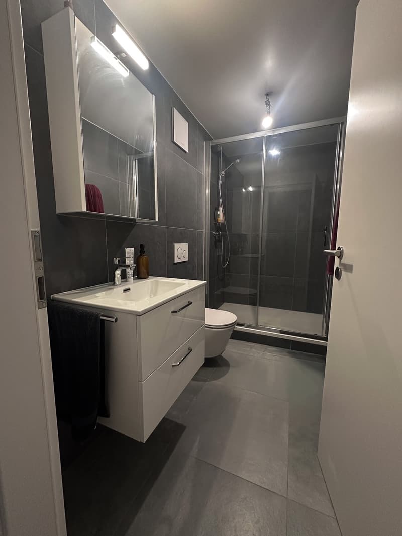 Bel appartement 2,5 pièces rénové avec grand jardin et terrasse Peseux (5)