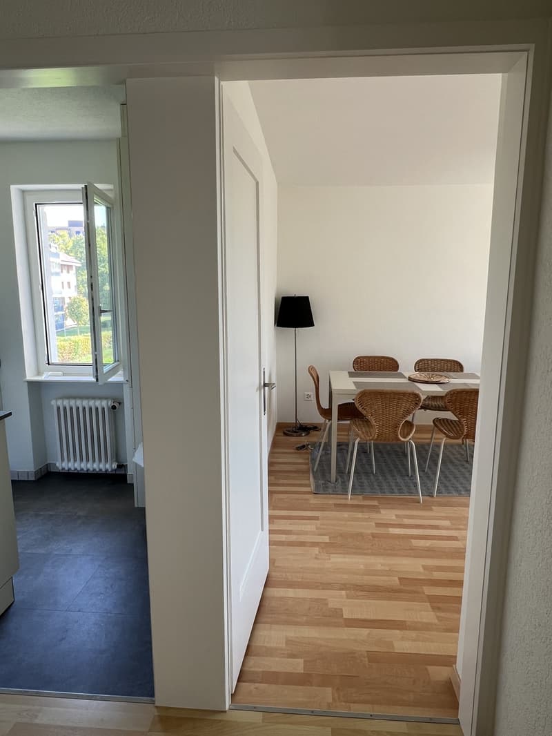 2-Zimmer-Wohnung in Zug Fixübernahme inkl. kompletter Einrichtung (3)