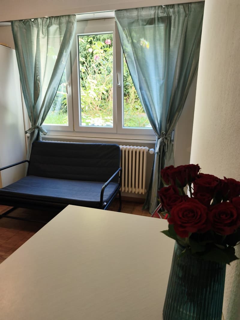 Studio meublé de 30 m² à louer - LausanneStudio meublé de 30 m² à louer  Avenue de Morges 44, LausanneStudio meublé de 30 m² à louer  Avenue de Morges 44, Lausanne (2)