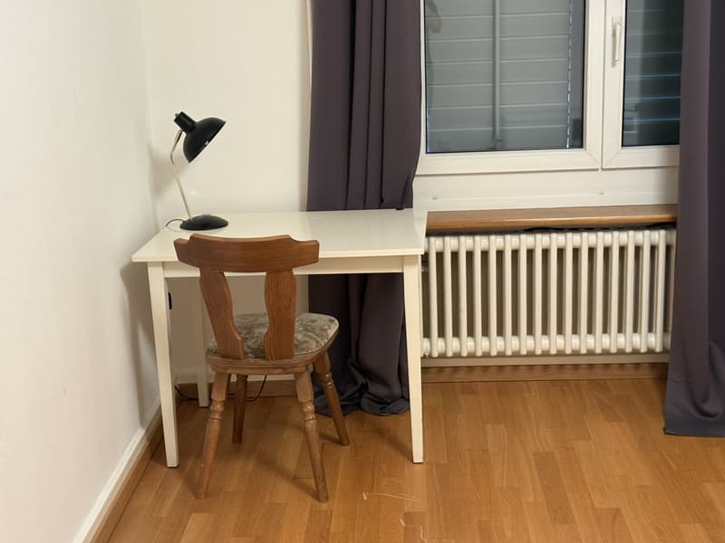Zürich 8057 sehr Central WG-Zimmer In Bucheggplatz, Milchbuck, auch für paare (2)