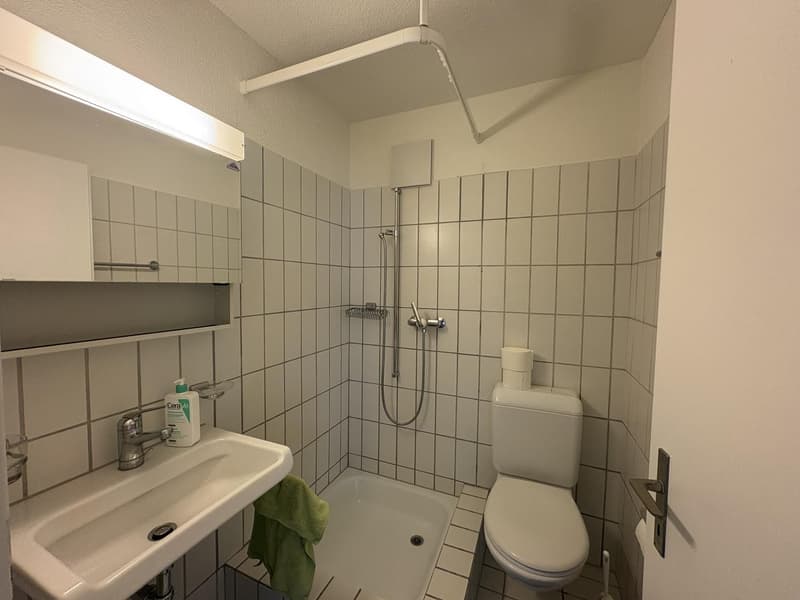 Helle 4.5-Zimmer-Wohnung mit Balkon CHF 1995 inkl. NK (9)