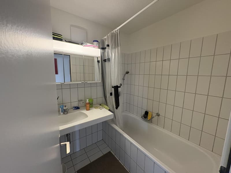 Helle 4.5-Zimmer-Wohnung mit Balkon CHF 1995 inkl. NK (10)
