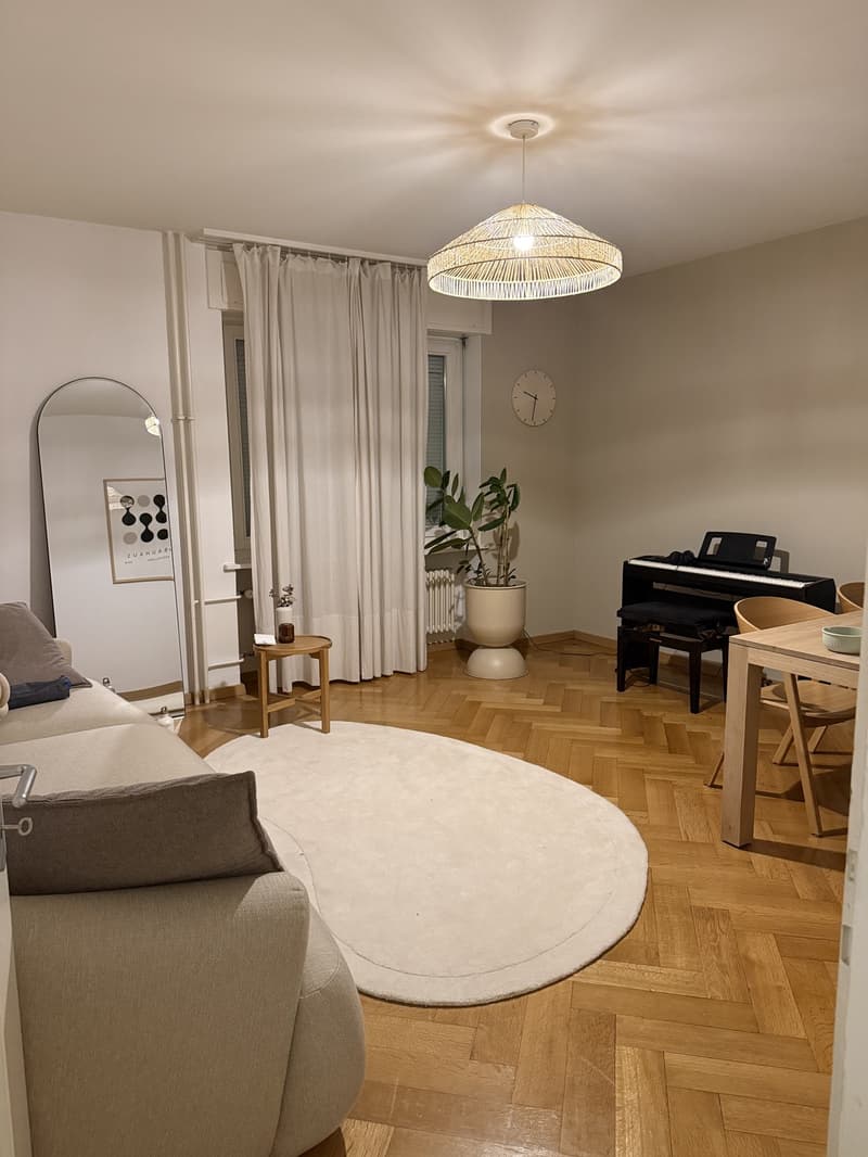 Stadtluft schnuppern im Herzen von Zürich: Januar & Februar 2027 (1)