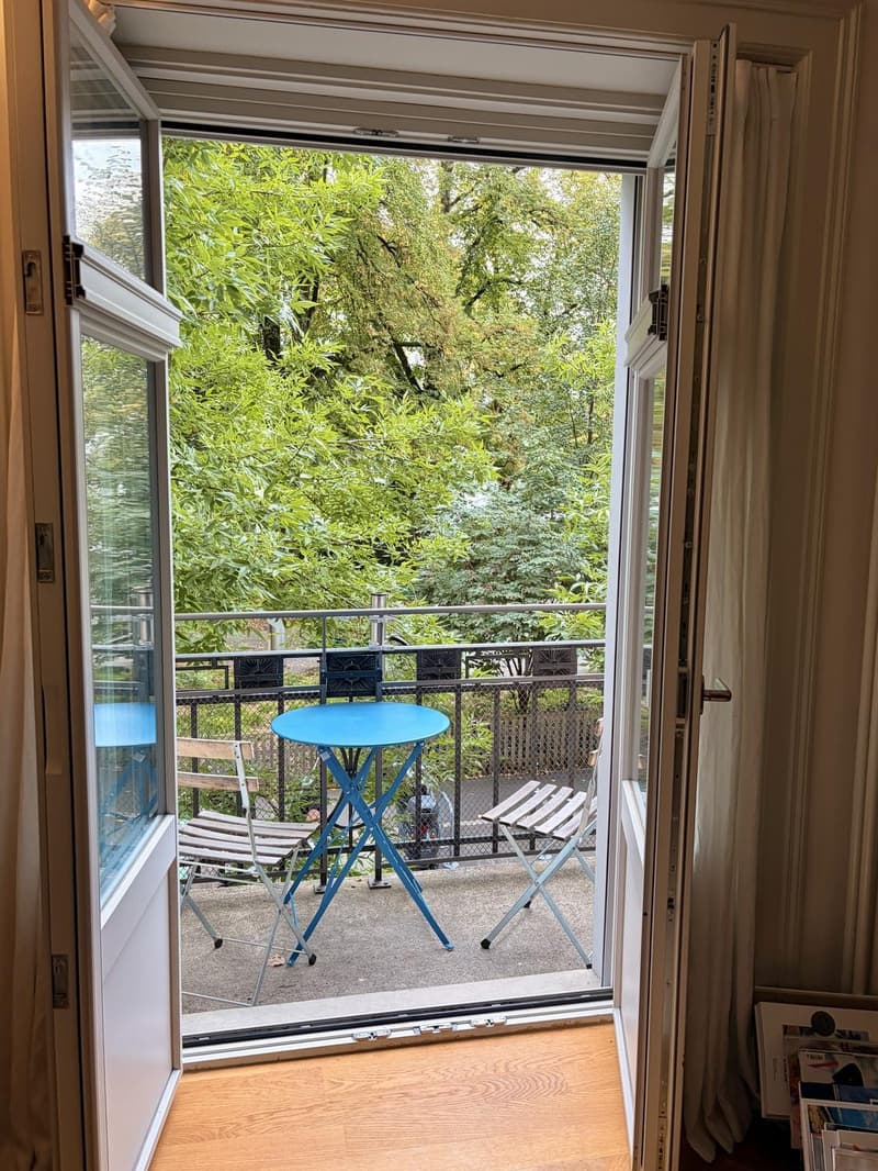 Möblierte 3-Zimmer-Wohnung in Luzern zur Untermiete (4)
