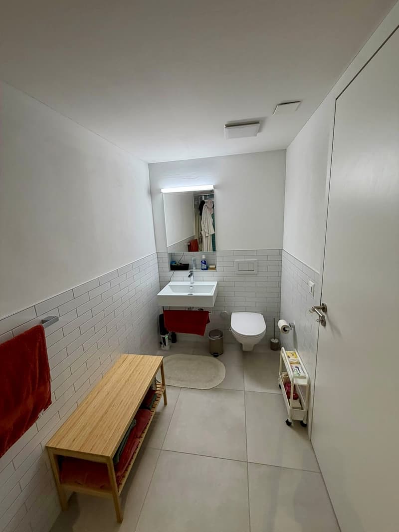 Schöne 2.5-Zi-Maisonette-Wohnung (ca. 65m2) im Breitsch für mind. 6 Monate zur Untermiete, ggf. mit Verlängerung oder Möglichkeit zur Übernahme (7)