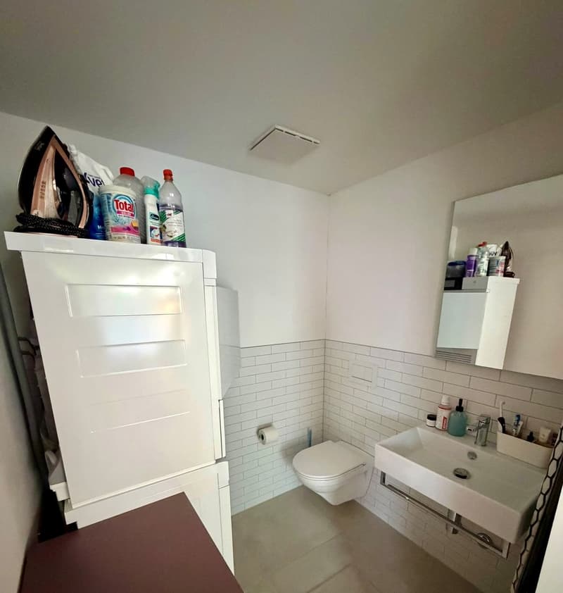 Schöne 2.5-Zi-Maisonette-Wohnung (ca. 65m2) im Breitsch für mind. 6 Monate zur Untermiete, ggf. mit Verlängerung oder Möglichkeit zur Übernahme (4)