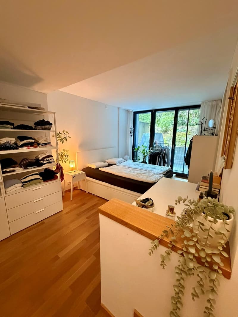 Schöne 2.5-Zi-Maisonette-Wohnung (ca. 65m2) im Breitsch für mind. 6 Monate zur Untermiete, ggf. mit Verlängerung oder Möglichkeit zur Übernahme (6)