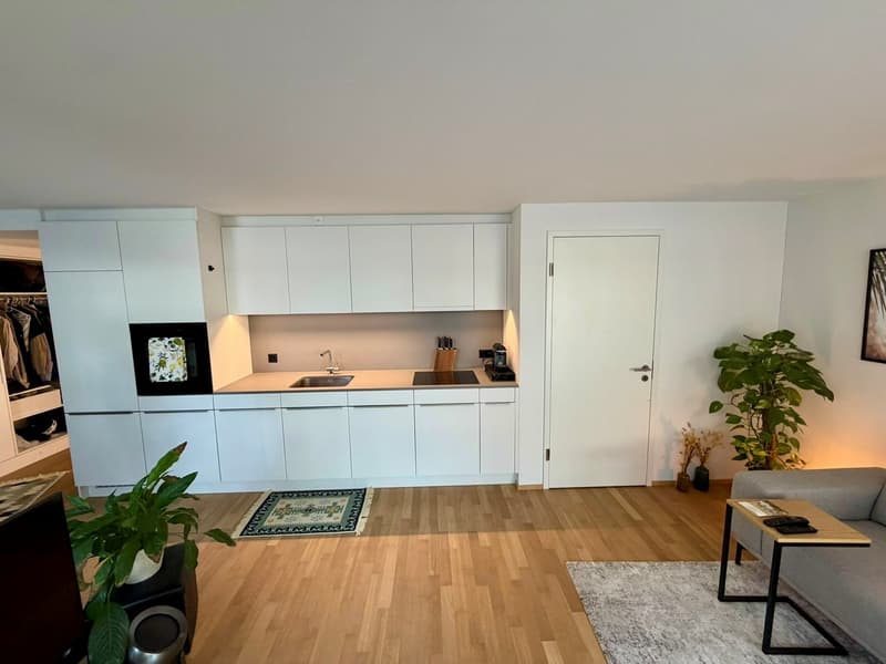 Schöne 2.5-Zi-Maisonette-Wohnung (ca. 65m2) im Breitsch für mind. 6 Monate zur Untermiete, ggf. mit Verlängerung oder Möglichkeit zur Übernahme (3)