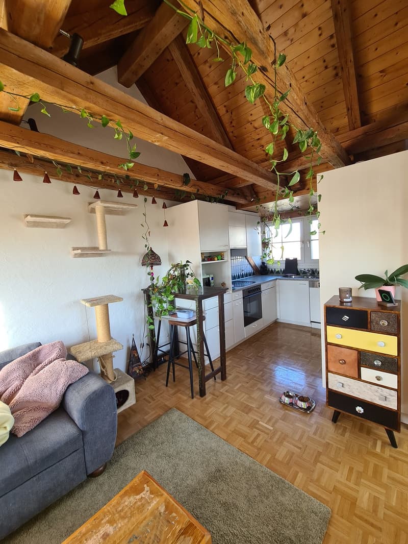 3 Zimmer Maisonette-Wohnung (4)