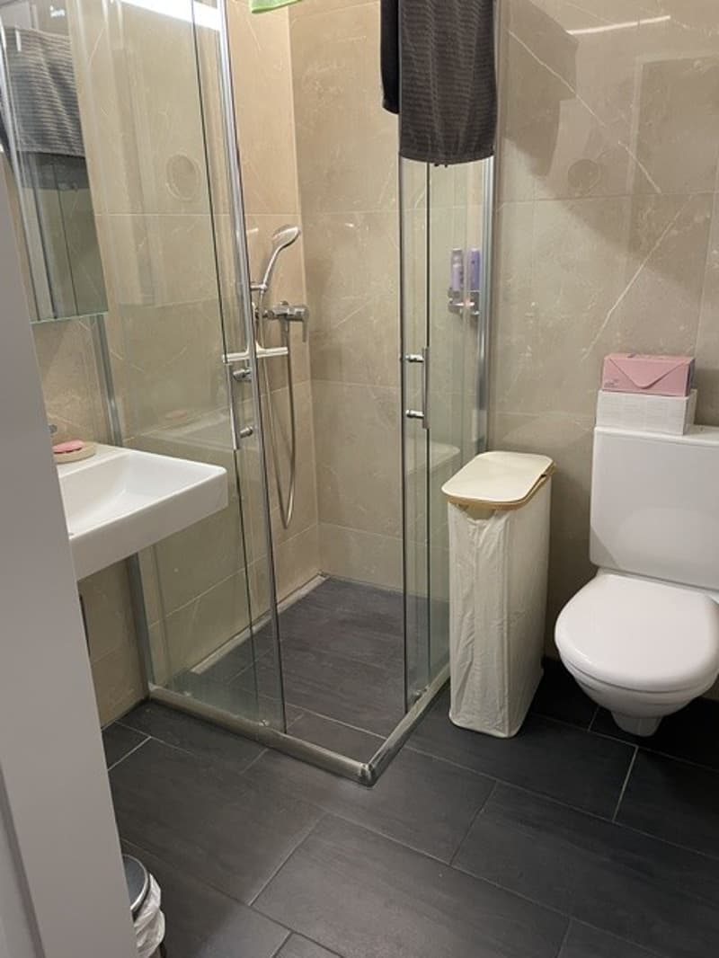Zentrales, helles 1-Zimmer Apartament in Zurzach ab sofort oder nach Vereinbarung zu vermieten. (3)