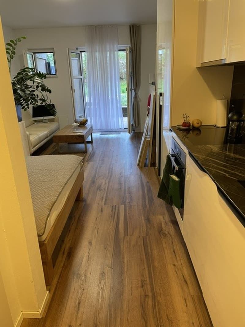 Zentrales, helles 1-Zimmer Apartament in Zurzach ab sofort oder nach Vereinbarung zu vermieten. (1)