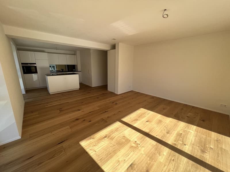 Moderne 3.5-Zimmer-Wohnung mit grosser Terrasse in Adliswil mit Top-Anbindung nach Zürich (1)