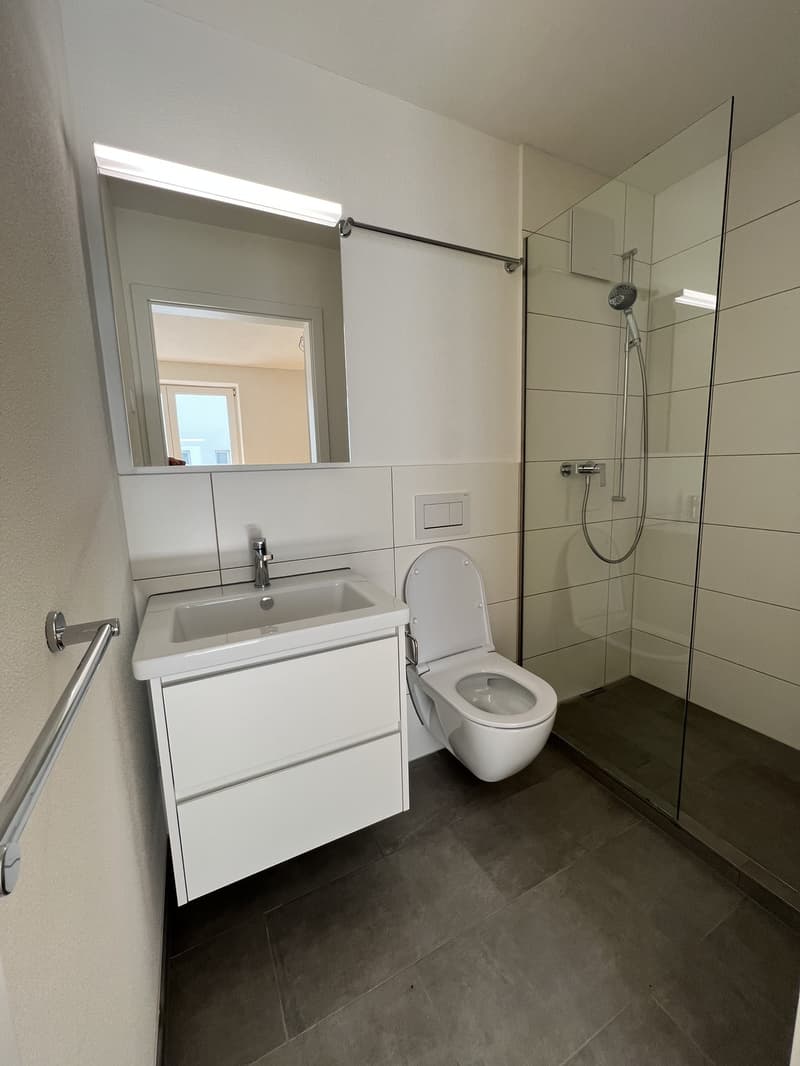 Moderne 3.5-Zimmer-Wohnung mit grosser Terrasse in Adliswil mit Top-Anbindung nach Zürich (5)