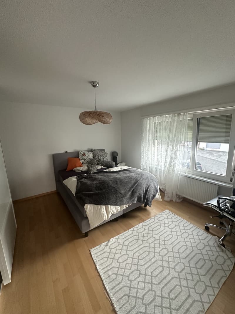 Günstige Wohnung in Bellikon mit herrlicher Aussicht (5)