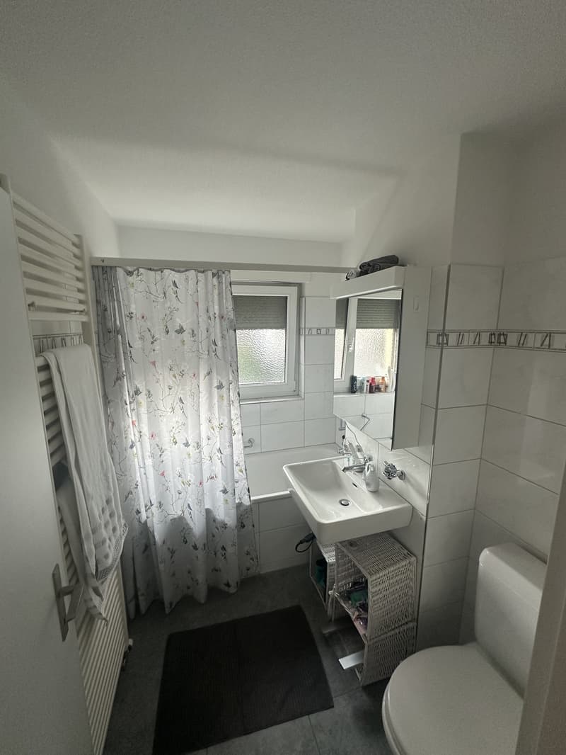 Günstige Wohnung in Bellikon mit herrlicher Aussicht (3)