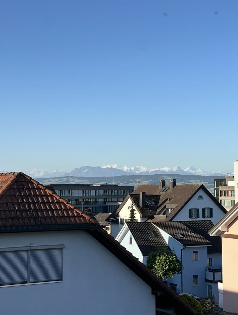 Günstige Wohnung in Bellikon mit herrlicher Aussicht (6)