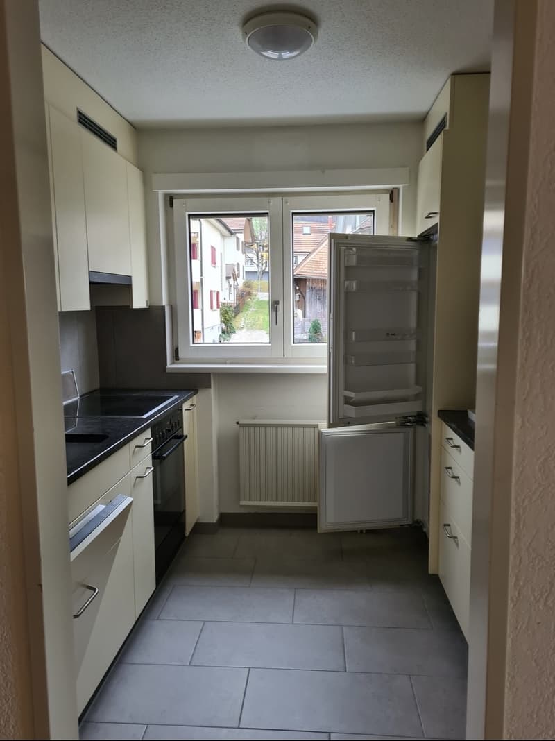 Günstige Wohnung in Bellikon mit herrlicher Aussicht (2)