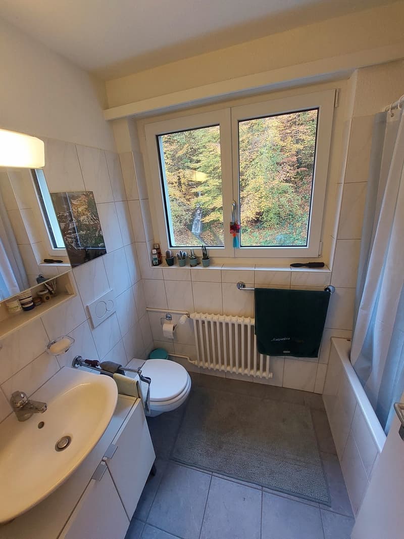 3.5-Zimmer-Wohnung UNTERMIETE / SUBLET (04.01.2027 12.05.2027) (6)
