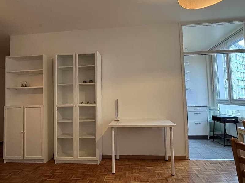 Louer un appartement/studio à Chatelaine (5)