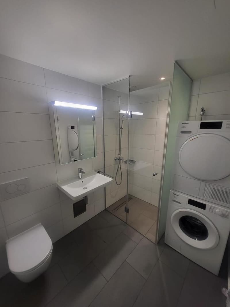 2 ½ rooms apartment, 8212 Neuhausen am Rheinfall (3)