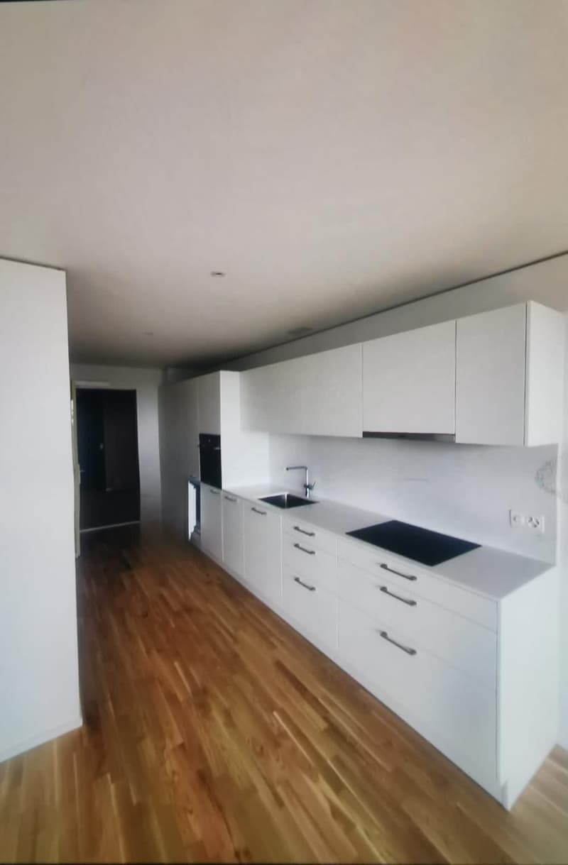 2 ½ rooms apartment, 8212 Neuhausen am Rheinfall (2)